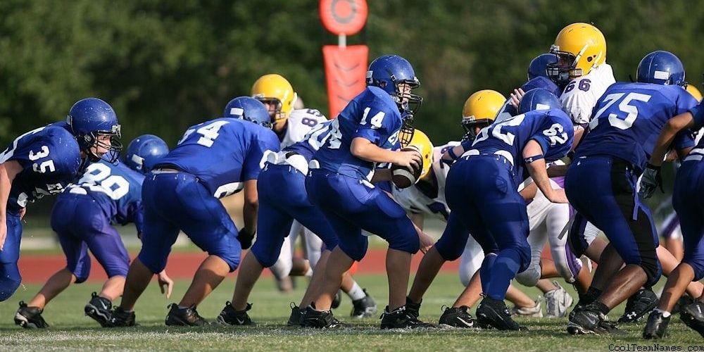 Best Pickleball Team Names