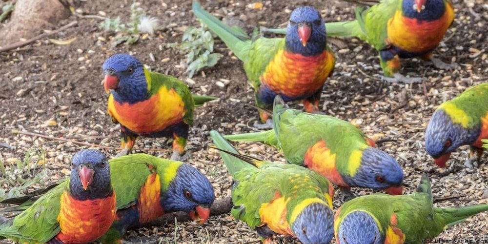 Creative Finance Team Names