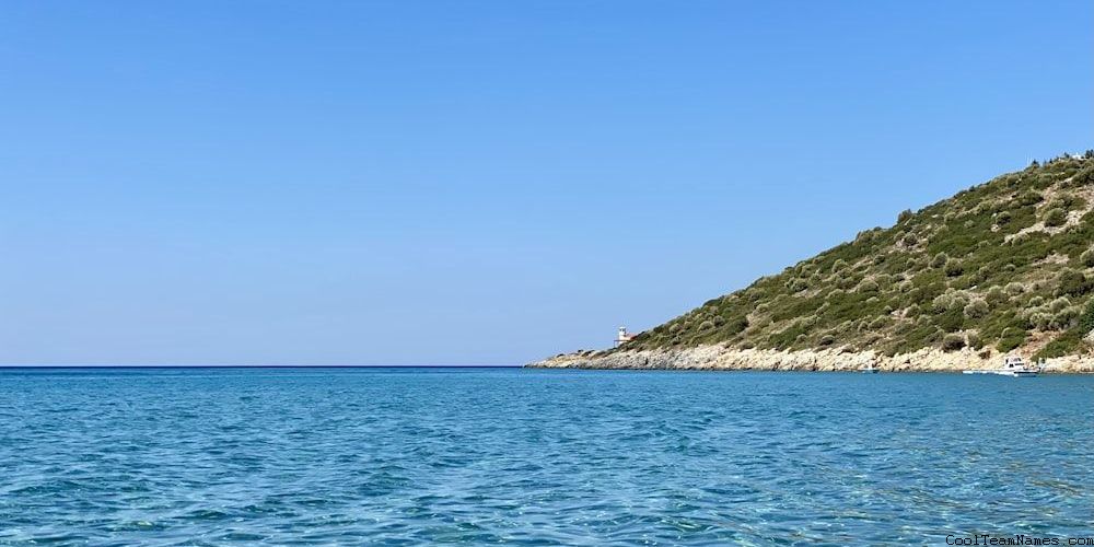 Educational Group Names