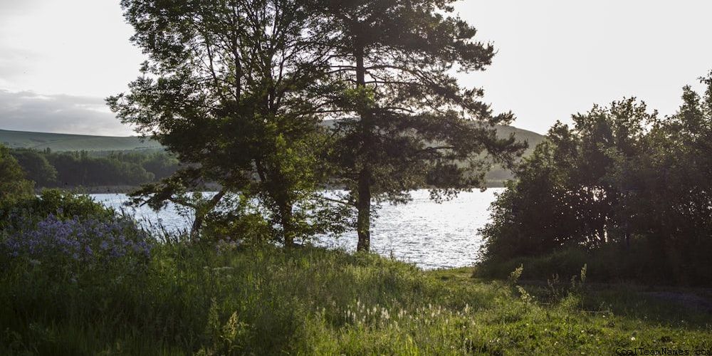 Entertaining Team Names For Party & Social Games