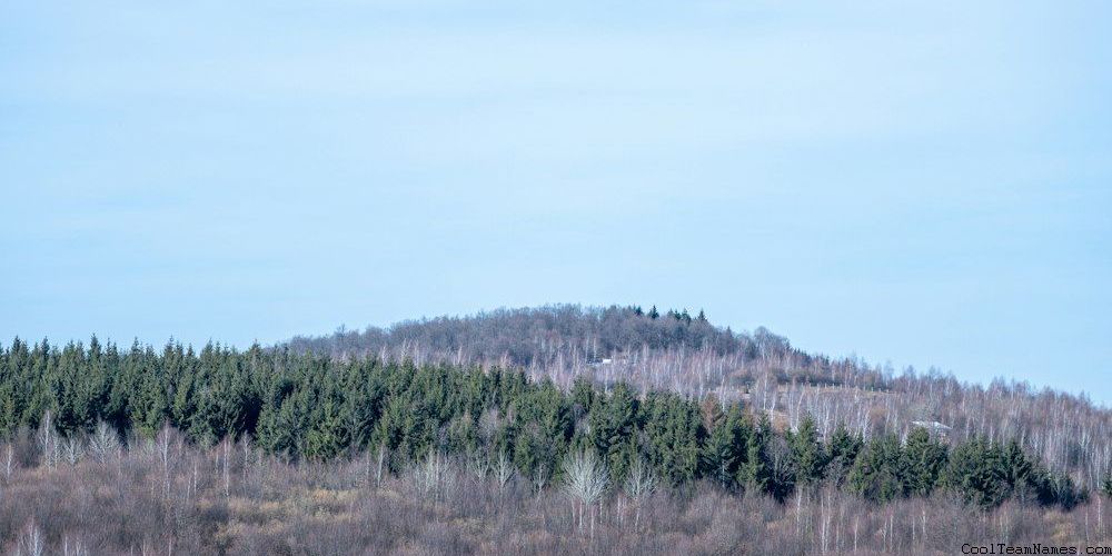 Esports Player Names For Fighting Games