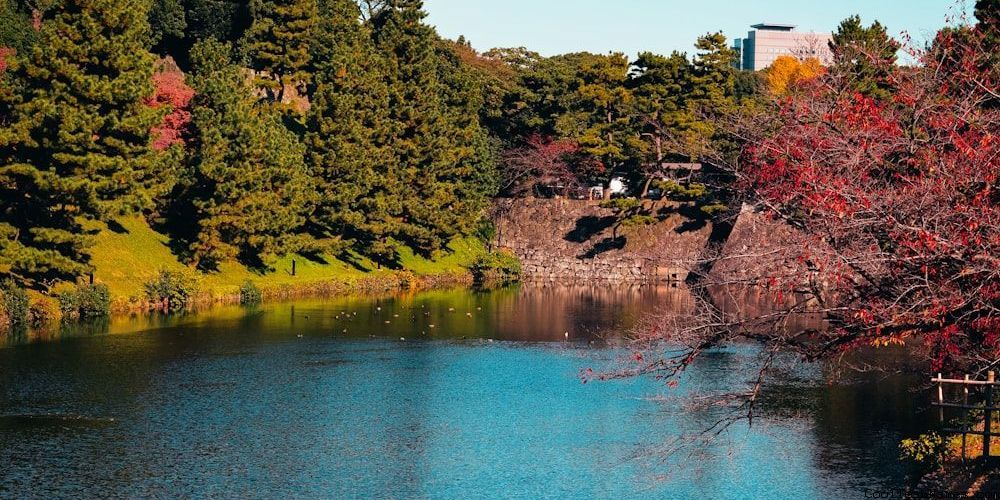 Funny Team Names For Football