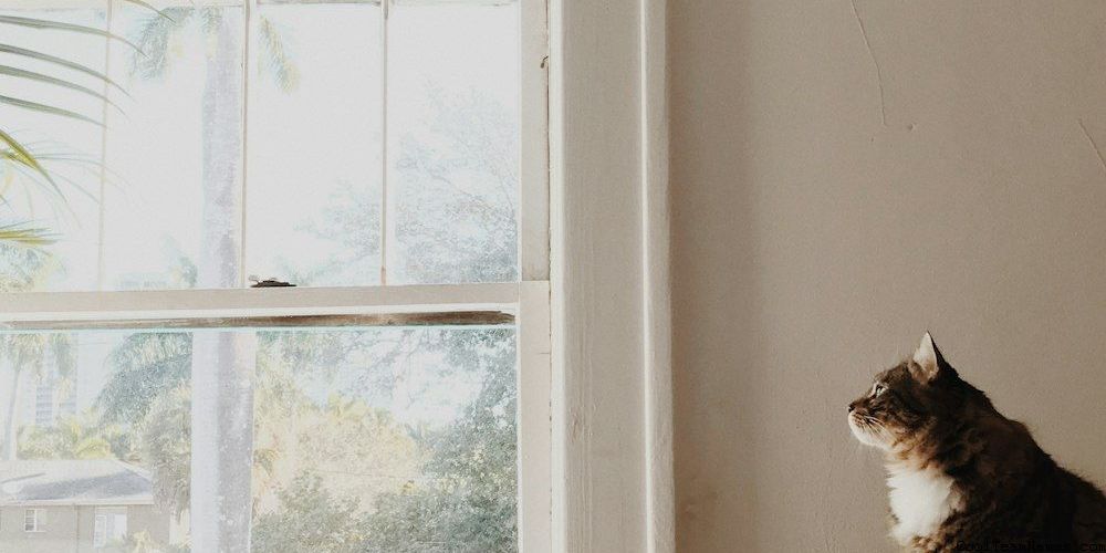 Funny Walking Team Names