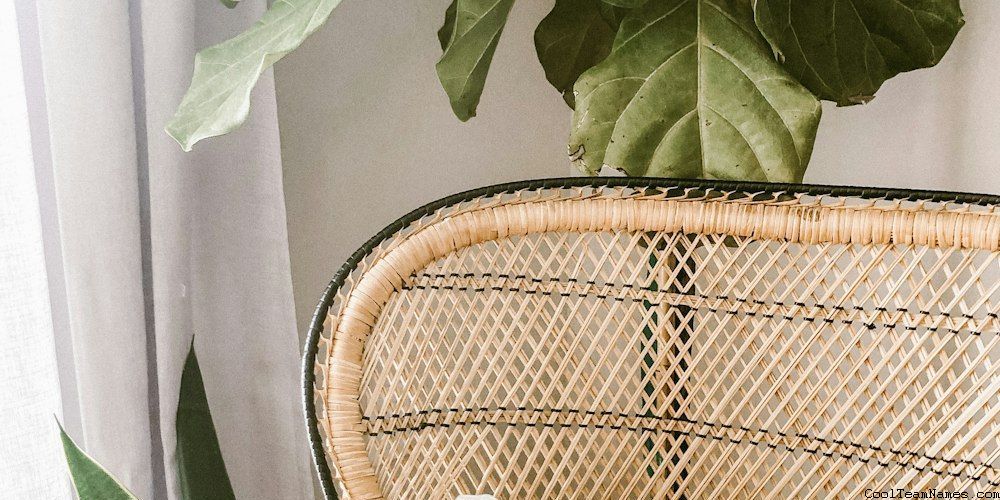 Health And Wellness Awareness Team Names