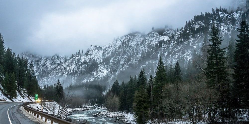 Inspirational Art Club Names