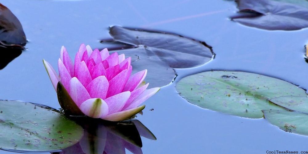 Teacher Group Chat Names