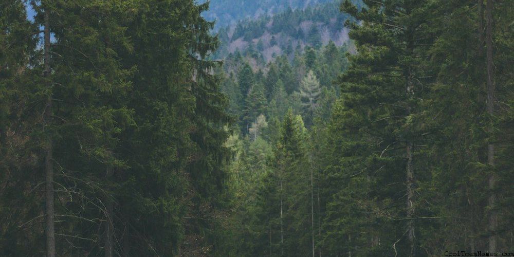 Team Names For Hackathon Competitions