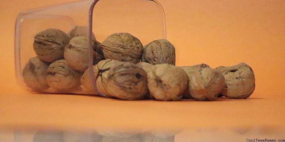 The Best Minecraft World Names