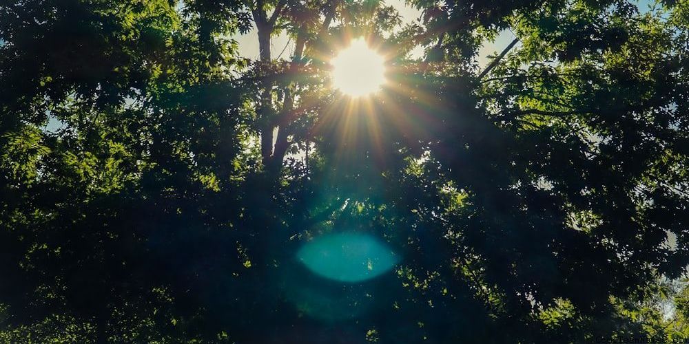 Third-Person Shooter Team Names For Esports